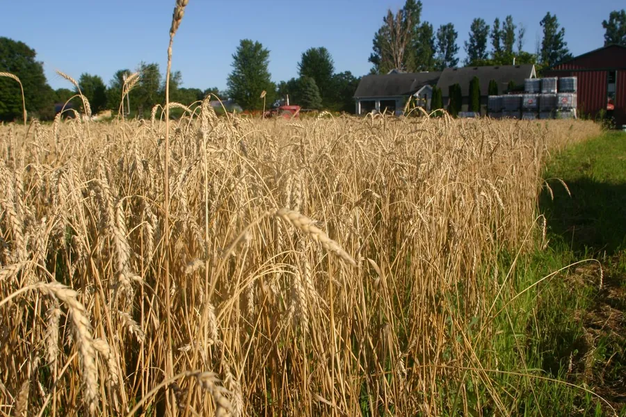 Farm Planning & Strategy