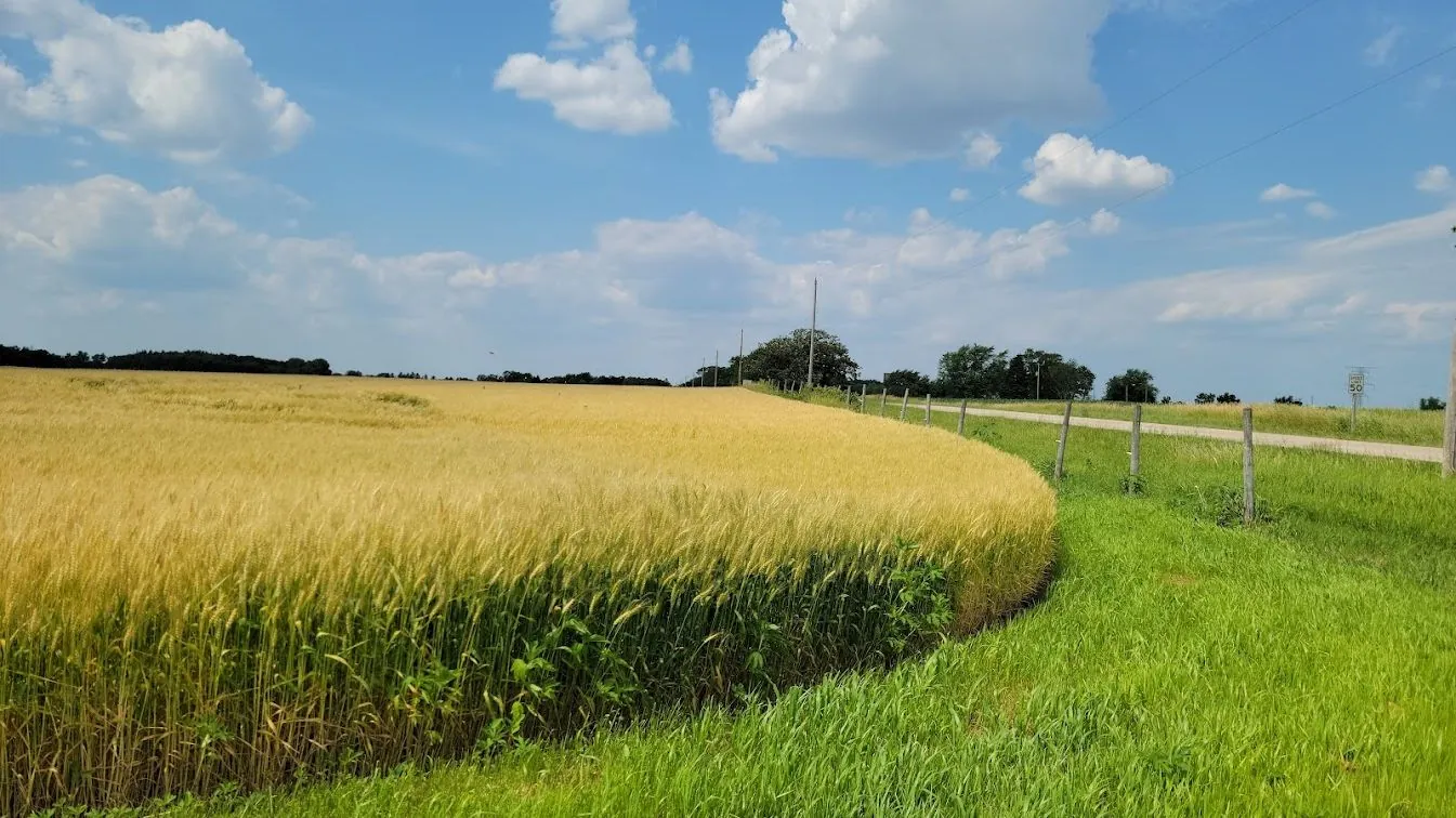 Midwest farmland in the Solutions in the Land service area