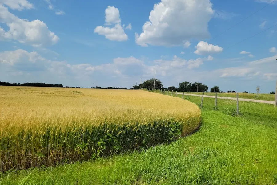 Agricultural Investors