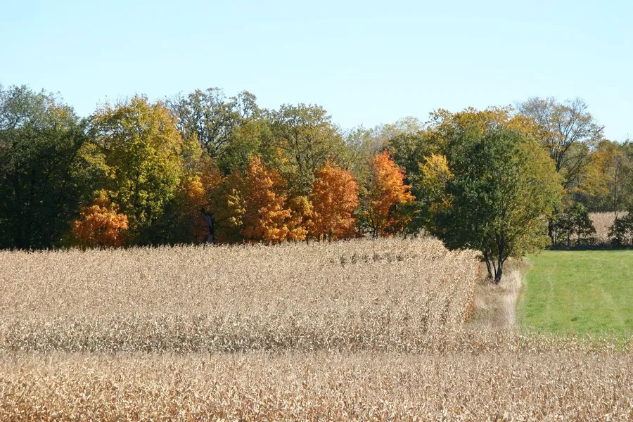 Agroforestry & Soil Health
