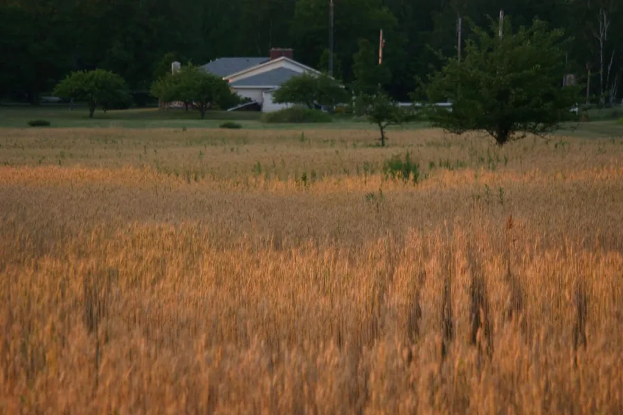 Farm Business Planning