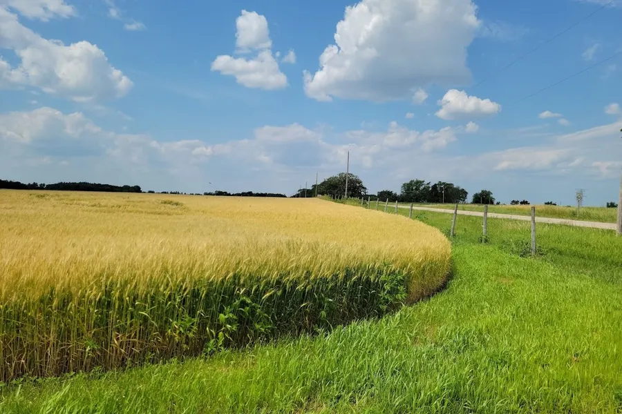 Specialized Lease Services in the field